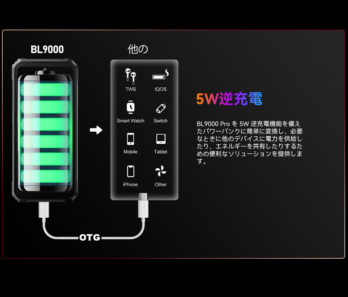 Blackview BL9000 Pro 5G 12+512GB FLIR® Lepton 3.5 サーマル
