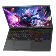 Blackview GamiBook 16 16インチ 300Hz 2.5Kディスプレイ Intel® Core™ CPU NVIDIA® GeForce GPU 16GB DDR5 RAM 1TB M.2 PCIe Gen4 SSD Windows 11 Pro ゲーミングノートパソコン