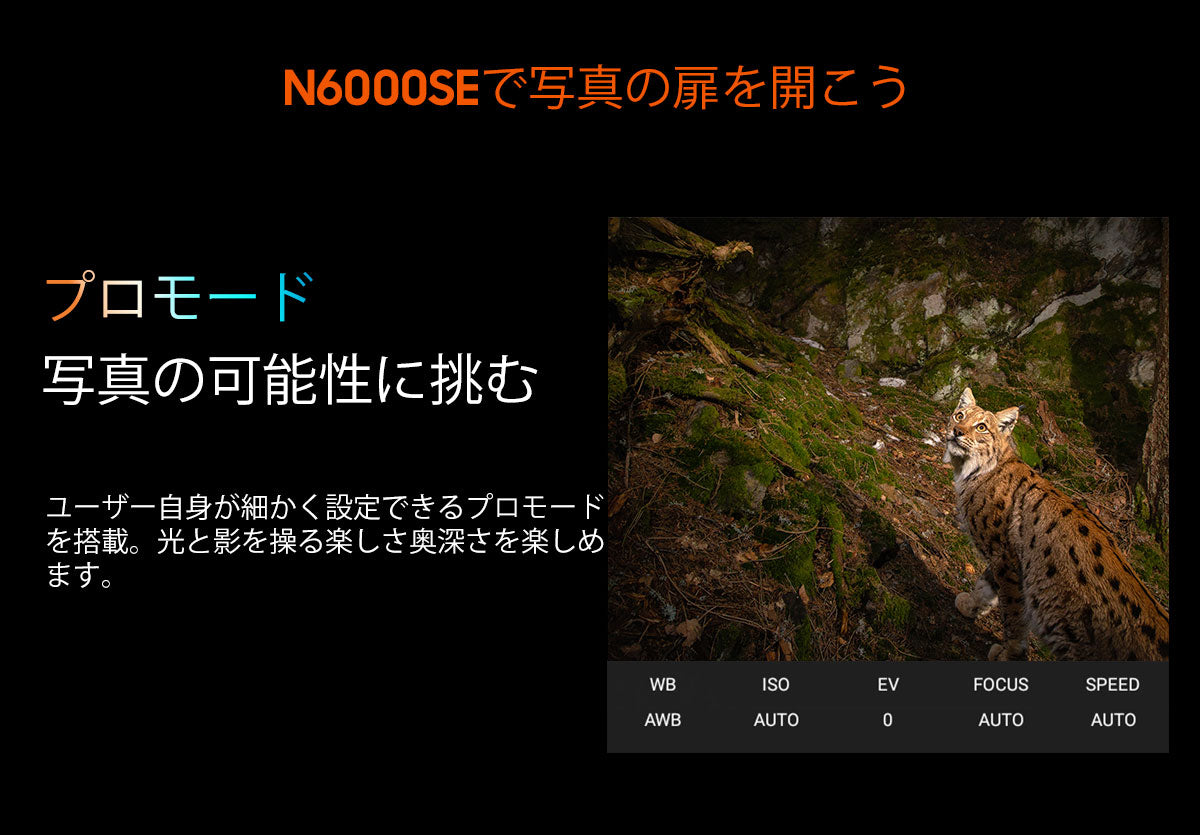 Blackview N6000SE 4.3インチ ミニ頑丈携帯電話